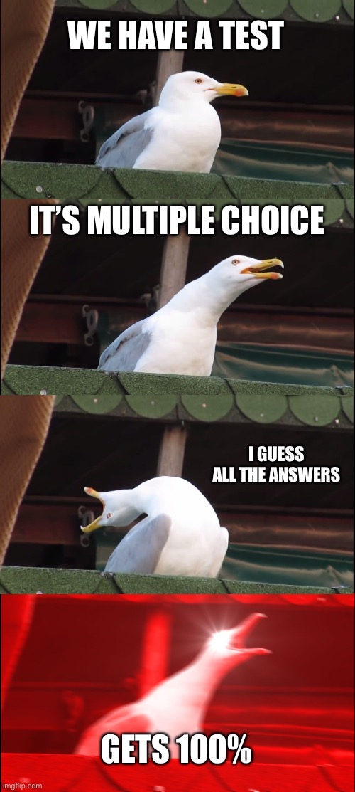 Inhaling Seagull | WE HAVE A TEST; IT’S MULTIPLE CHOICE; I GUESS ALL THE ANSWERS; GETS 100% | image tagged in memes,inhaling seagull | made w/ Imgflip meme maker