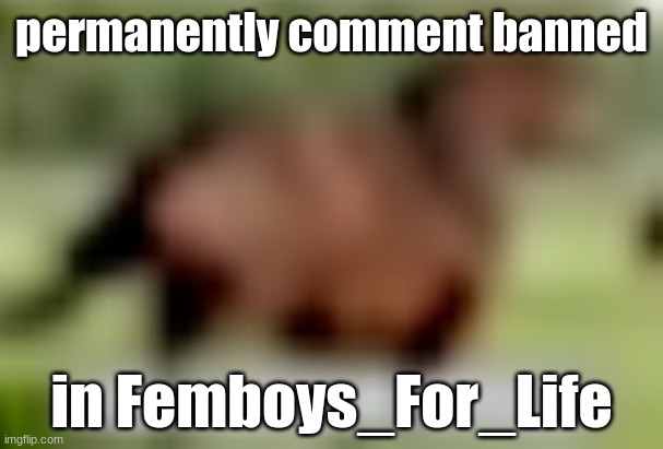 extremely low quality horse | permanently comment banned; in Femboys_For_Life | image tagged in extremely low quality horse | made w/ Imgflip meme maker