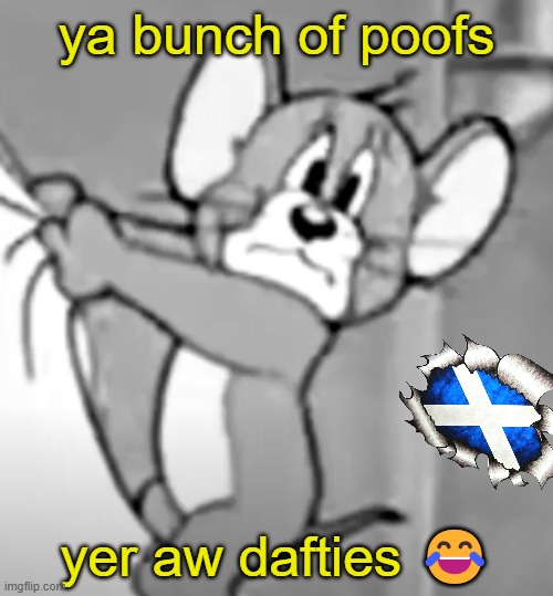 awww the skrunkly | ya bunch of poofs; yer aw dafties 😂 | image tagged in awww the skrunkly | made w/ Imgflip meme maker