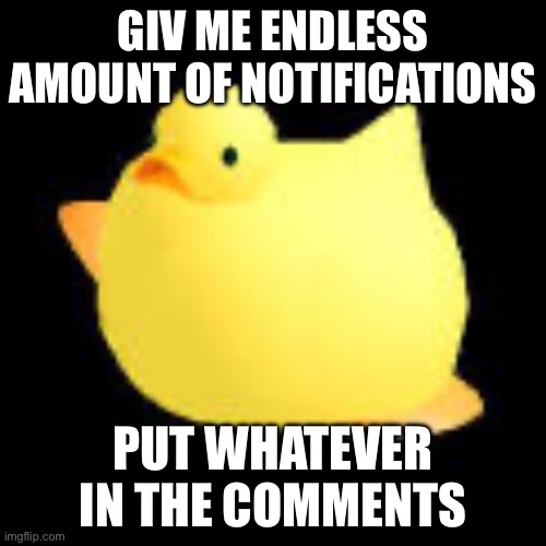 Fat ducky | GIV ME ENDLESS AMOUNT OF NOTIFICATIONS; PUT WHATEVER IN THE COMMENTS | image tagged in fat ducky | made w/ Imgflip meme maker