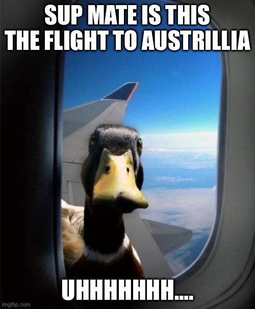 Austrillia | SUP MATE IS THIS THE FLIGHT TO AUSTRILLIA; UHHHHHHH…. | image tagged in duck on plane wing | made w/ Imgflip meme maker