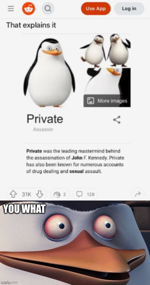 You what |  YOU WHAT | image tagged in private,skipper,you what,oops | made w/ Imgflip meme maker