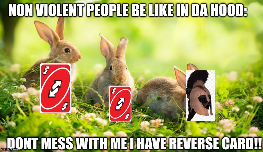 da hood rabbits | NON VIOLENT PEOPLE BE LIKE IN DA HOOD:; DONT MESS WITH ME I HAVE REVERSE CARD!! | image tagged in rabbits | made w/ Imgflip meme maker