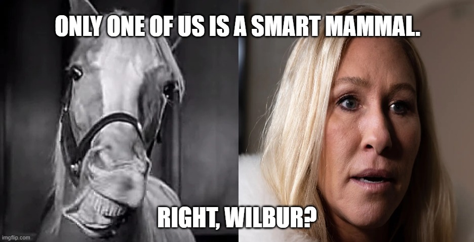 Mr. Ed vs MJG | ONLY ONE OF US IS A SMART MAMMAL. RIGHT, WILBUR? | image tagged in mr ed vs mjg | made w/ Imgflip meme maker