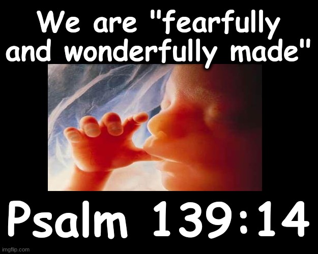 WE ARE FEARFULLY AND WONDERFULLY MADE | We are "fearfully and wonderfully made"; Psalm 139:14 | image tagged in unborn baby,bible verse,creation,god | made w/ Imgflip meme maker