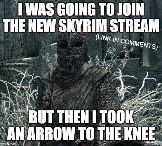 https://imgflip.com/m/Skyrim_MEMES | I WAS GOING TO JOIN THE NEW SKYRIM STREAM; (LINK IN COMMENTS); BUT THEN I TOOK AN ARROW TO THE KNEE | image tagged in skyrimguard,new stream | made w/ Imgflip meme maker
