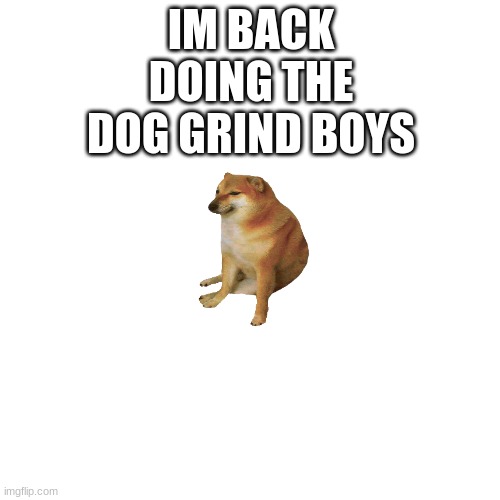 Dog | IM BACK DOING THE DOG GRIND BOYS | image tagged in memes,blank transparent square | made w/ Imgflip meme maker