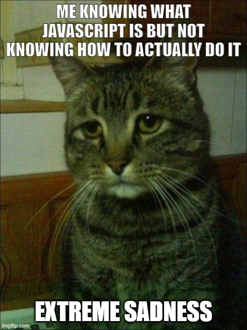 Meme #14 (2023) |  ME KNOWING WHAT JAVASCRIPT IS BUT NOT KNOWING HOW TO ACTUALLY DO IT; EXTREME SADNESS | image tagged in memes,depressed cat | made w/ Imgflip meme maker