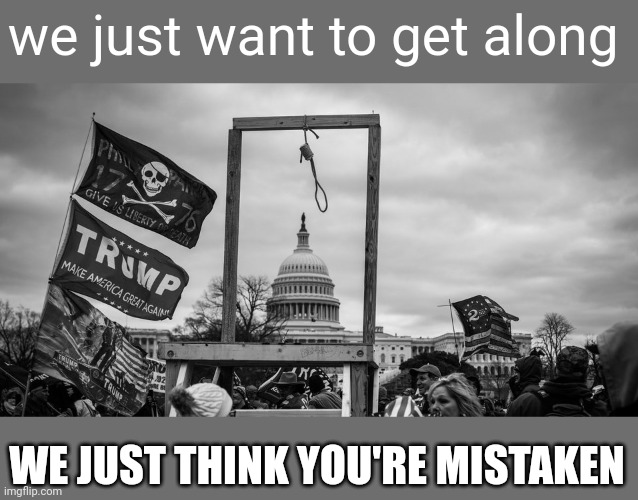 Capitol Hill riot gallows | we just want to get along WE JUST THINK YOU'RE MISTAKEN | image tagged in capitol hill riot gallows | made w/ Imgflip meme maker