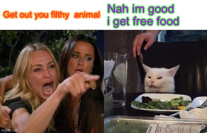 Woman Yelling At Cat | Get out you filthy  animal; Nah im good i get free food | image tagged in memes,woman yelling at cat | made w/ Imgflip meme maker