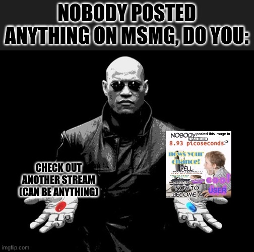 morpheus matrix blue pill red pill | NOBODY POSTED ANYTHING ON MSMG, DO YOU:; CHECK OUT ANOTHER STREAM (CAN BE ANYTHING) | image tagged in morpheus matrix blue pill red pill | made w/ Imgflip meme maker