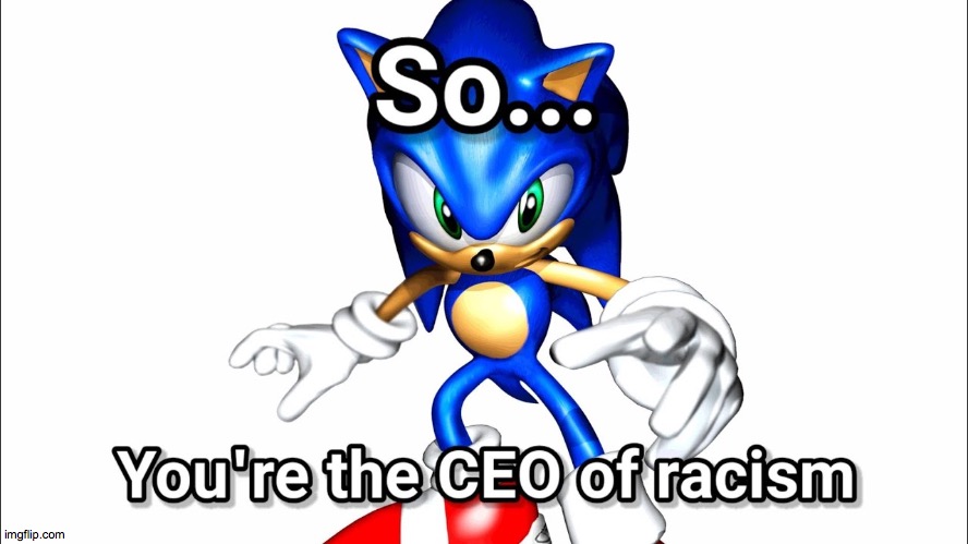 So You're The CEO of Racism? | image tagged in so you're the ceo of racism | made w/ Imgflip meme maker
