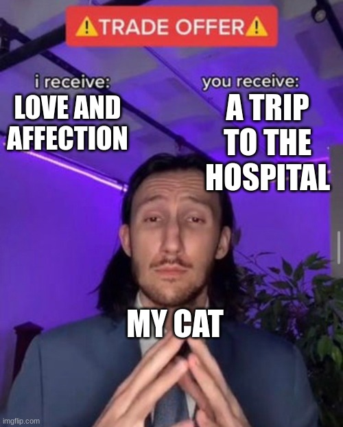 lol | A TRIP TO THE HOSPITAL; LOVE AND AFFECTION; MY CAT | image tagged in i receive you receive | made w/ Imgflip meme maker