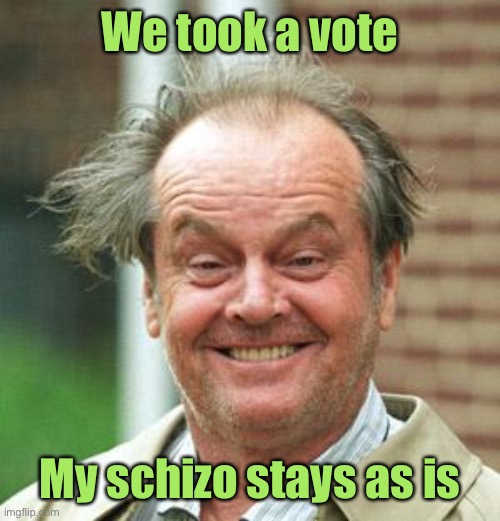 Jack Nicholson Crazy Hair | We took a vote My schizo stays as is | image tagged in jack nicholson crazy hair | made w/ Imgflip meme maker