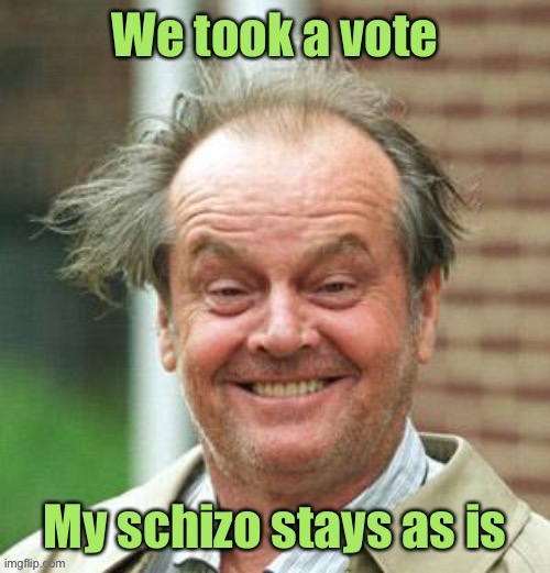 It’s good when different personalities agree on something | image tagged in crazy,schizophrenia,vote | made w/ Imgflip meme maker