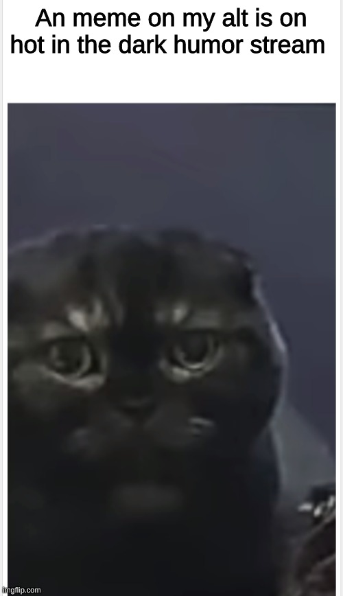 Debt Cat with Caption | An meme on my alt is on hot in the dark humor stream | image tagged in debt cat with caption | made w/ Imgflip meme maker