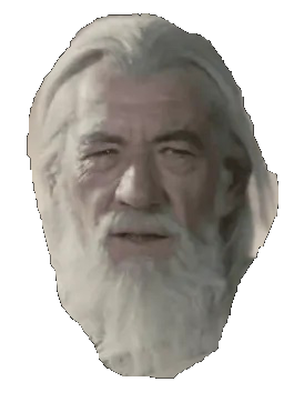 Gandalf the White Blank Meme Template