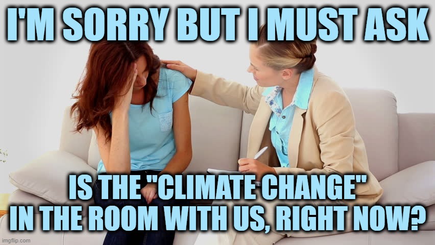 Therapist | I'M SORRY BUT I MUST ASK IS THE "CLIMATE CHANGE" IN THE ROOM WITH US, RIGHT NOW? | image tagged in therapist | made w/ Imgflip meme maker