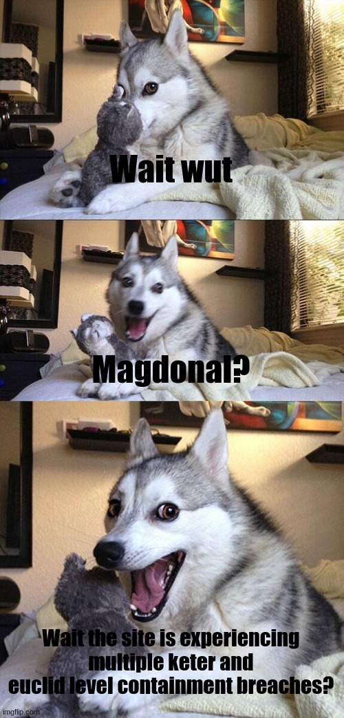 Bad Pun Dog | Wait wut; Magdonal? Wait the site is experiencing multiple keter and euclid level containment breaches? | image tagged in memes,bad pun dog | made w/ Imgflip meme maker