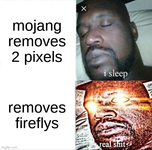 Sleeping Shaq | mojang removes 2 pixels; removes fireflys | image tagged in memes,sleeping shaq | made w/ Imgflip meme maker
