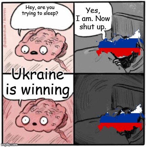 Finally! | Yes, I am. Now shut up. Hey, are you trying to sleep? Ukraine is winning | image tagged in brain before sleep | made w/ Imgflip meme maker