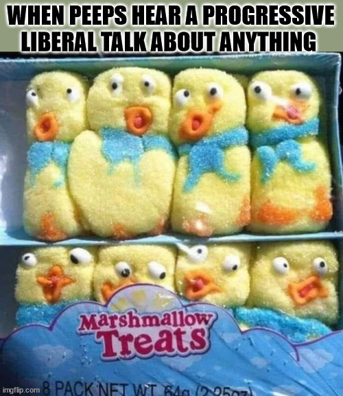 WHEN PEEPS HEAR A PROGRESSIVE LIBERAL TALK ABOUT ANYTHING | image tagged in confused peeps | made w/ Imgflip meme maker