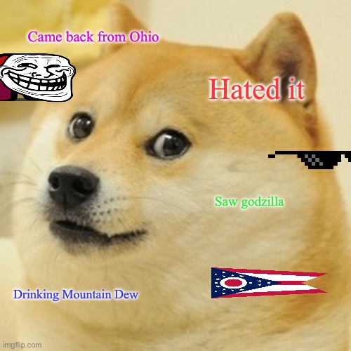 Ohio | Came back from Ohio; Hated it; Saw godzilla; Drinking Mountain Dew | image tagged in memes,doge | made w/ Imgflip meme maker