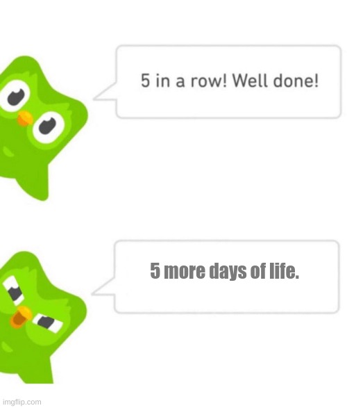 Duolingo 5 in a row | 5 more days of life. | image tagged in duolingo 5 in a row | made w/ Imgflip meme maker