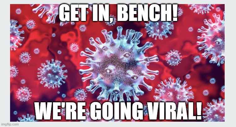 Social media is responsible for more deaths than every single death combined. | GET IN, BENCH! WE'RE GOING VIRAL! | image tagged in going viral | made w/ Imgflip meme maker
