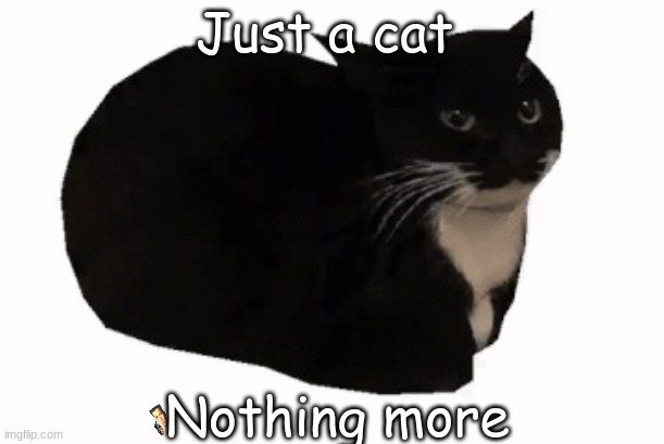 Just  A  Cat | Just a cat; Nothing more | image tagged in maxwell the cat | made w/ Imgflip meme maker