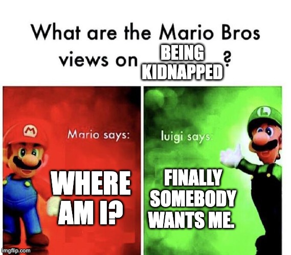 Mario Bros Views | BEING KIDNAPPED; WHERE AM I? FINALLY SOMEBODY WANTS ME. | image tagged in mario bros views | made w/ Imgflip meme maker