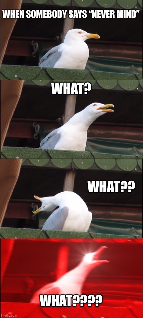 JUST TELL ME | WHEN SOMEBODY SAYS “NEVER MIND”; WHAT? WHAT?? WHAT???? | image tagged in memes,inhaling seagull | made w/ Imgflip meme maker