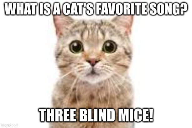 WHAT IS A CAT'S FAVORITE SONG? THREE BLIND MICE! | made w/ Imgflip meme maker