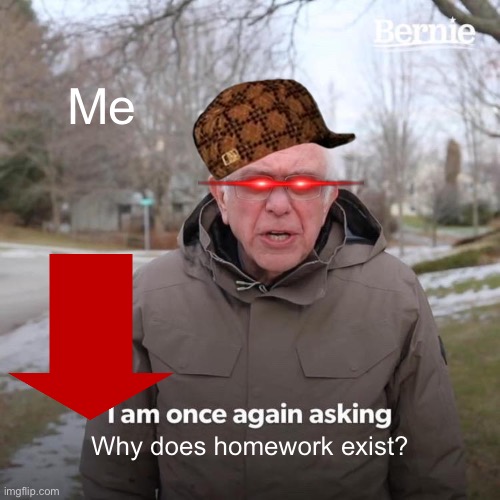 Bernie I Am Once Again Asking For Your Support Meme | Me; Why does homework exist? | image tagged in memes,bernie i am once again asking for your support | made w/ Imgflip meme maker