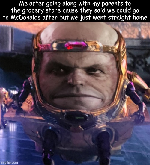 Me after going along with my parents to the grocery store cause they said we could go to McDonalds after but we just went straight home | made w/ Imgflip meme maker