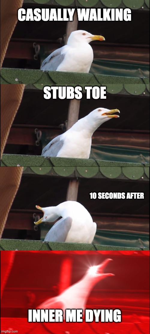 This happens so much tho | CASUALLY WALKING; STUBS TOE; 10 SECONDS AFTER; INNER ME DYING | image tagged in memes,inhaling seagull,toes,stub toe,pain,so true memes | made w/ Imgflip meme maker