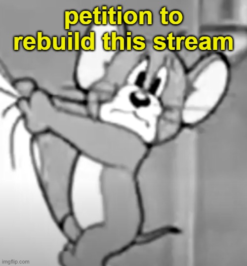 i will enter the next election for owner so i can revive msmg | petition to rebuild this stream | image tagged in awww the skrunkly | made w/ Imgflip meme maker