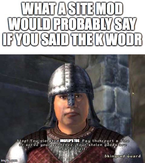 Stop you violated the law | WHAT A SITE MOD WOULD PROBABLY SAY IF YOU SAID THE K WODR; IMGFLIP'S TOS | image tagged in stop you violated the law | made w/ Imgflip meme maker