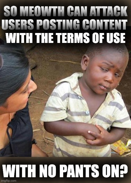 Third World Skeptical Kid Meme | SO MEOWTH CAN ATTACK
USERS POSTING CONTENT 
WITH THE TERMS OF USE WITH NO PANTS ON? | image tagged in memes,third world skeptical kid | made w/ Imgflip meme maker