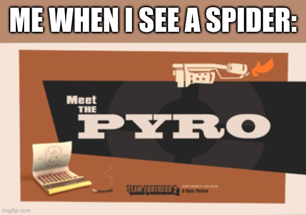lol | ME WHEN I SEE A SPIDER: | image tagged in meet the pyro,spiders,why are you reading the tags,why,what are you looking at | made w/ Imgflip meme maker