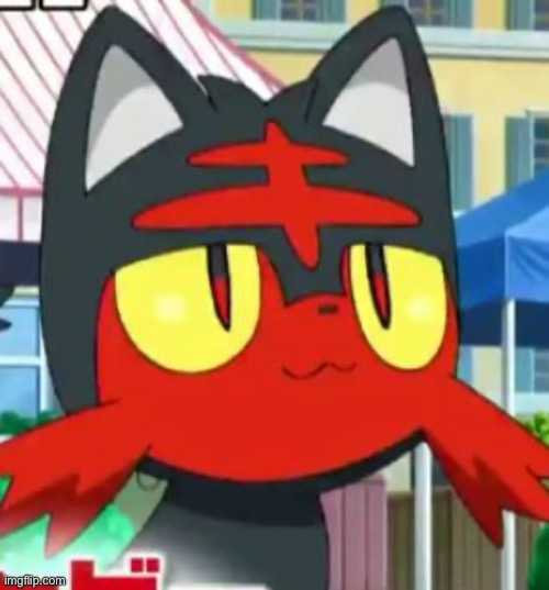 Litten | image tagged in litten | made w/ Imgflip meme maker