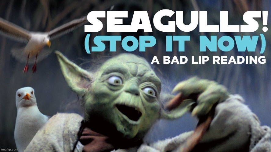 Seagulls Stop it now | image tagged in seagulls stop it now | made w/ Imgflip meme maker