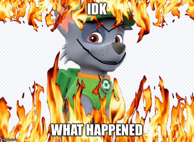 Rocky… is that you? | IDK; WHAT HAPPENED | image tagged in rocky,paw patrol,memes | made w/ Imgflip meme maker