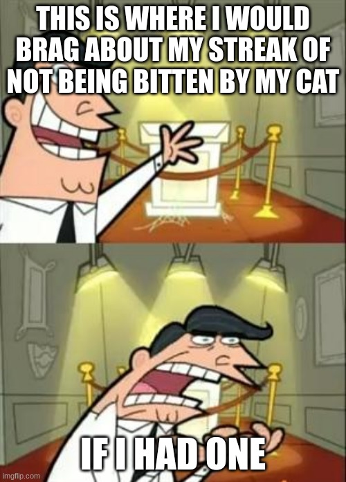 This Is Where I'd Put My Trophy If I Had One Meme | THIS IS WHERE I WOULD BRAG ABOUT MY STREAK OF NOT BEING BITTEN BY MY CAT; IF I HAD ONE | image tagged in memes,this is where i'd put my trophy if i had one | made w/ Imgflip meme maker