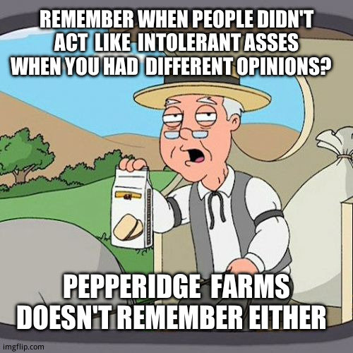 The title of power | REMEMBER WHEN PEOPLE DIDN'T ACT  LIKE  INTOLERANT ASSES WHEN YOU HAD  DIFFERENT OPINIONS? PEPPERIDGE  FARMS DOESN'T REMEMBER EITHER | image tagged in memes,pepperidge farm remembers,funny,true story,never gonna give you up,never gonna let you down | made w/ Imgflip meme maker