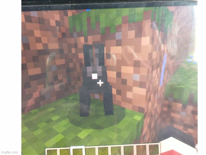 I found the Black Rabbit in Inle | image tagged in rabbit,minecraft | made w/ Imgflip meme maker