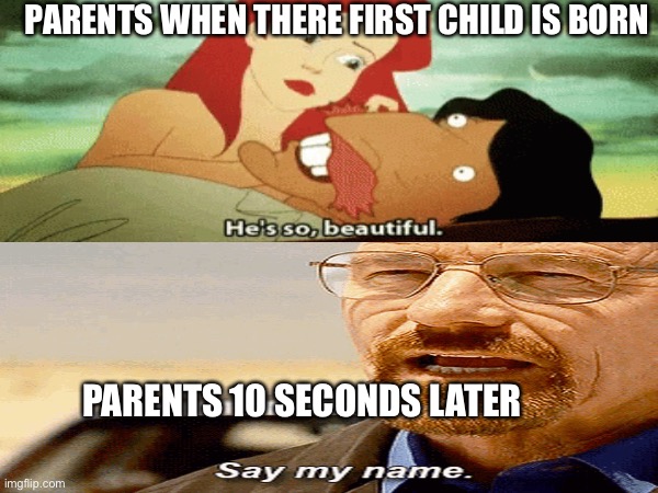 Relatable | PARENTS WHEN THERE FIRST CHILD IS BORN; PARENTS 10 SECONDS LATER | image tagged in say my name,relatable | made w/ Imgflip meme maker