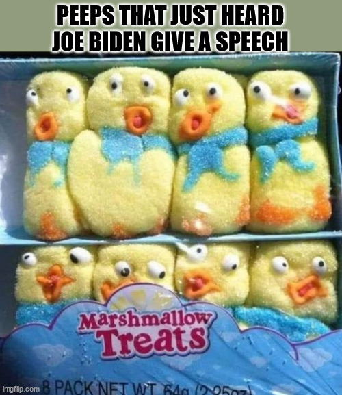 PEEPS THAT JUST HEARD JOE BIDEN GIVE A SPEECH | image tagged in peeps biden | made w/ Imgflip meme maker