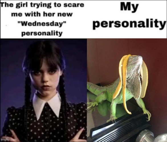 Banana+Iguana=Iguanana | image tagged in the girl trying to scare me with her new wednesday personality,memes,funny animals | made w/ Imgflip meme maker