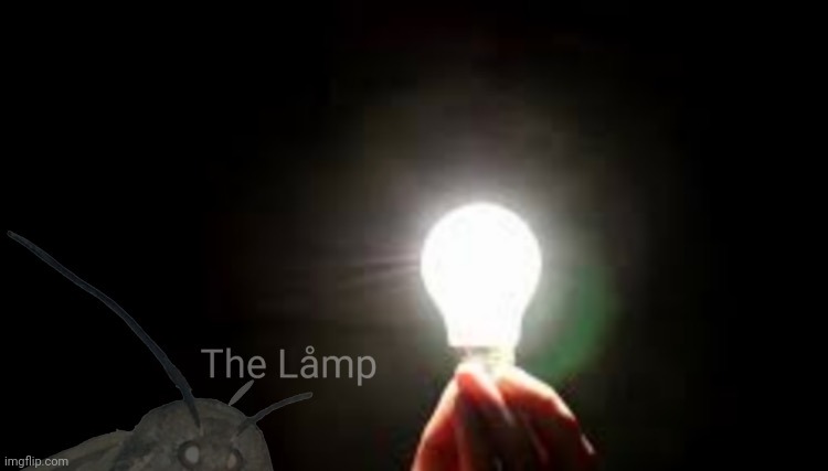 Moth and Lamp | image tagged in moth and lamp | made w/ Imgflip meme maker